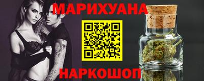 шишки Кандалакша