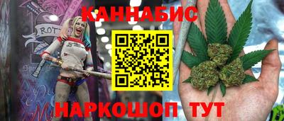 шишки Кандалакша