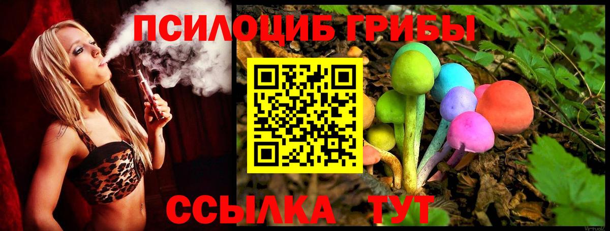 Галлюциногенные грибы Psilocybe  Вход с VPN  Кстово 