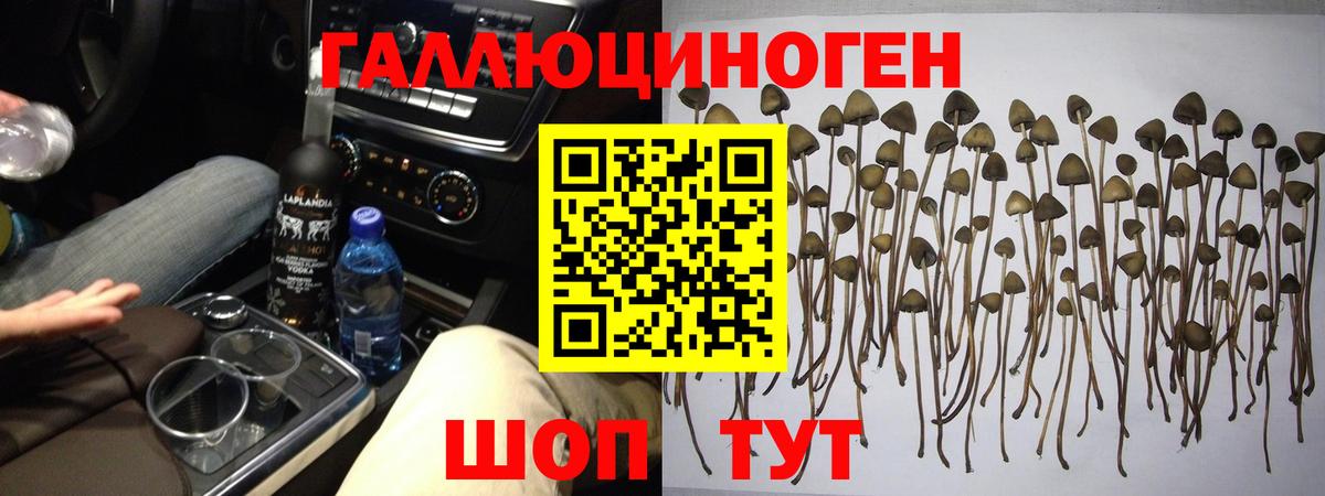 Псилоцибиновые грибы Magic Shrooms Кстово