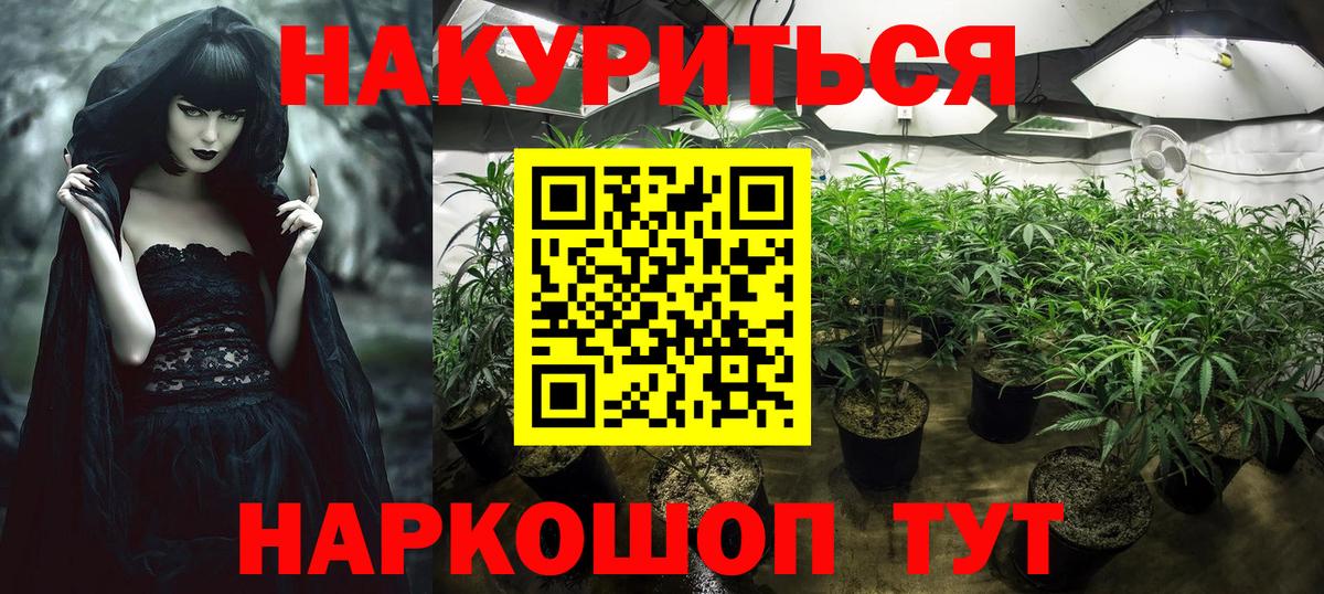 Каннабис OG Kush  Вход с VPN  Кстово  Конопля гибрид  МАРИХУАНА гибрид 